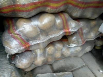 荷兰15号土豆批发 价格优势与市场潜力分析